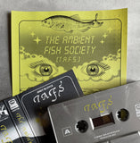 HDK 138 † T.A.F.S. s/t CASSETTE