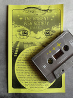 HDK 138 † T.A.F.S. s/t CASSETTE